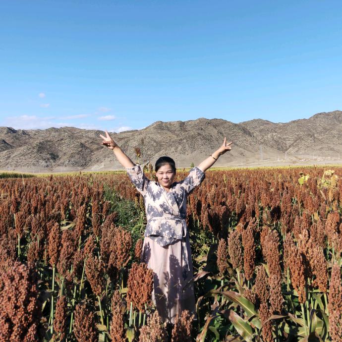 🙂️岁月静好