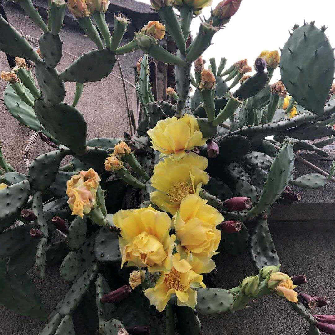 风雨前行