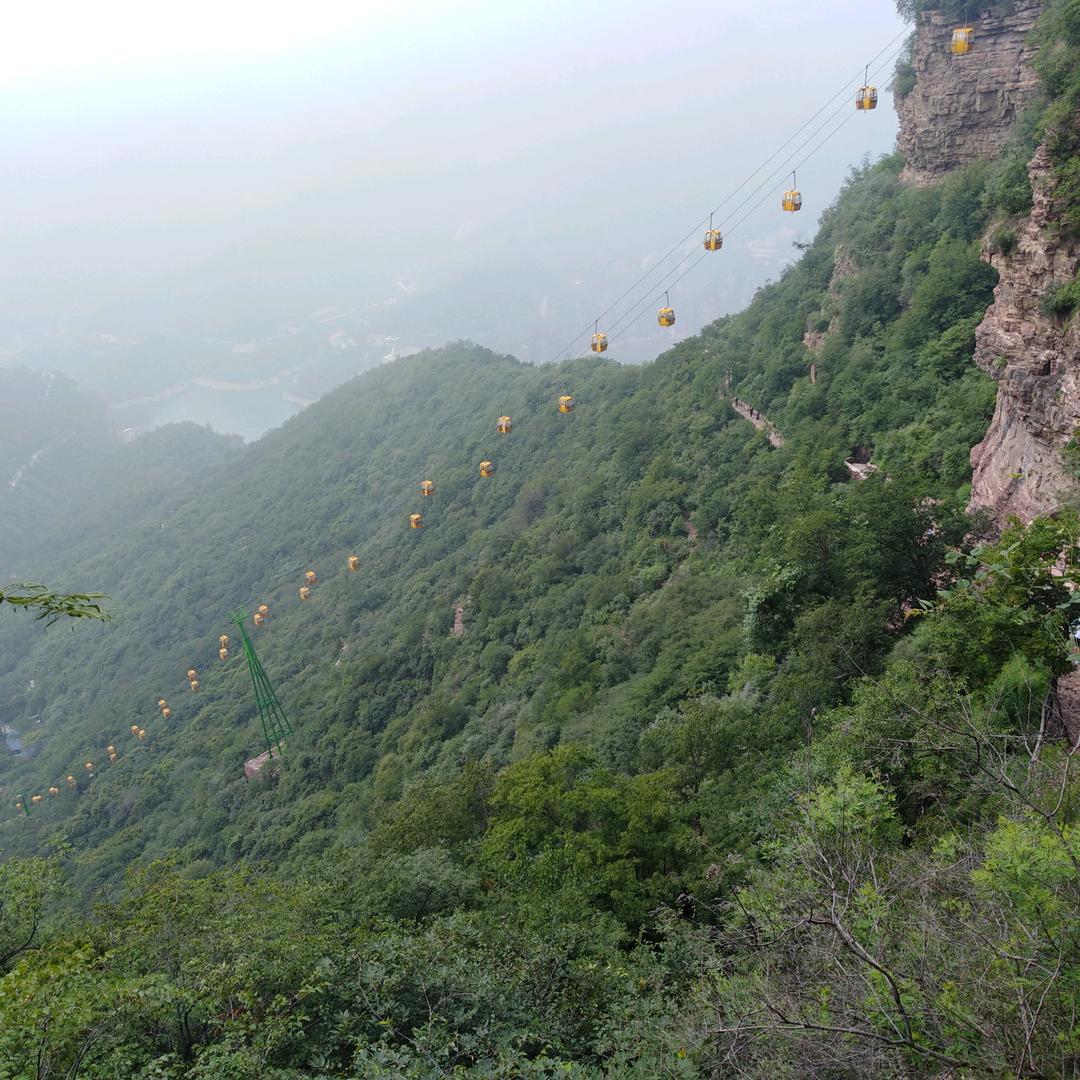 魏县啊龙