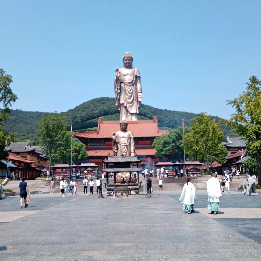 任加红