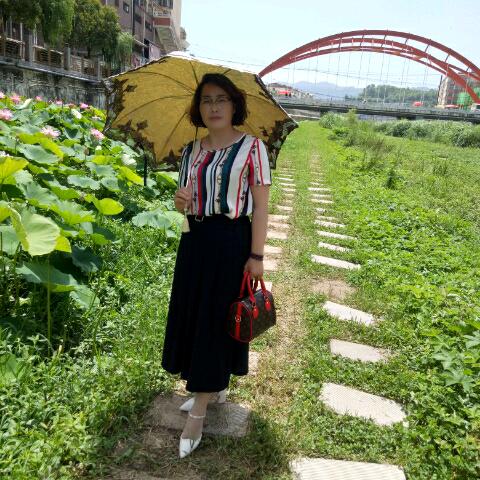 夏荷
