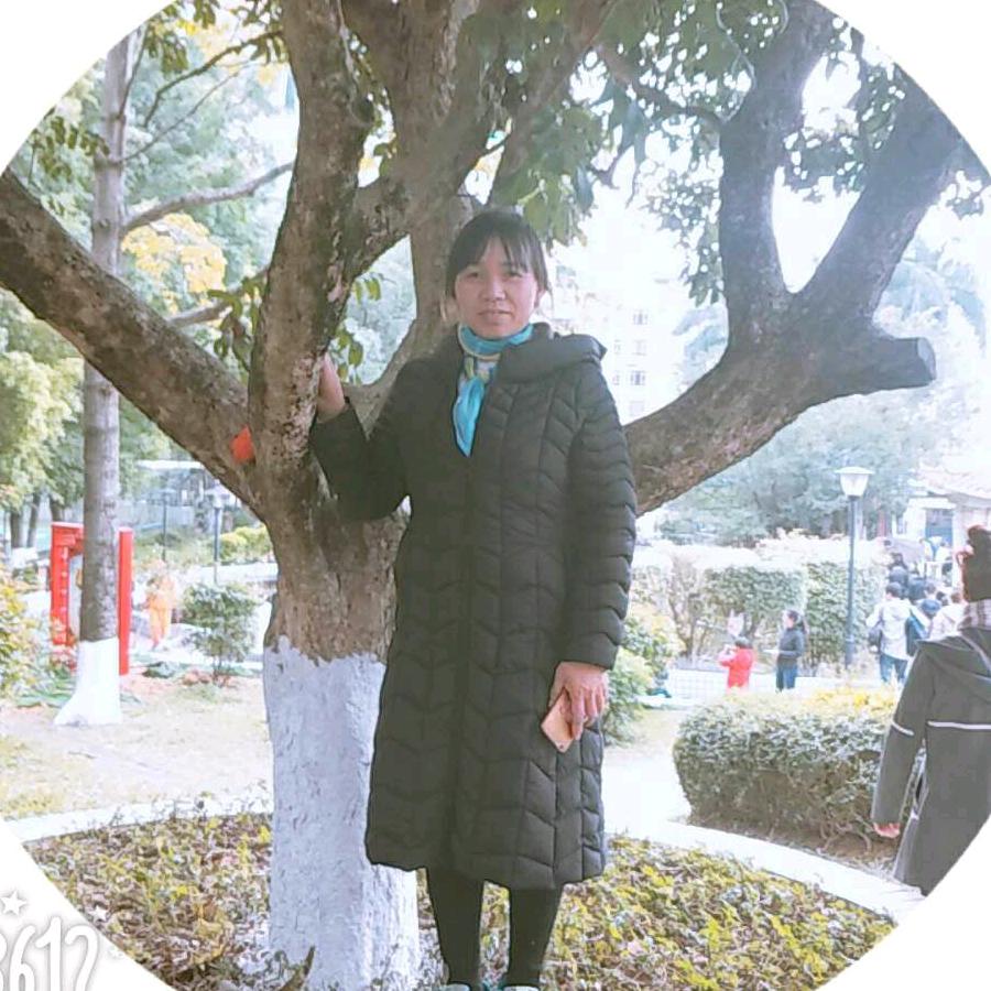 秋菊傲霜