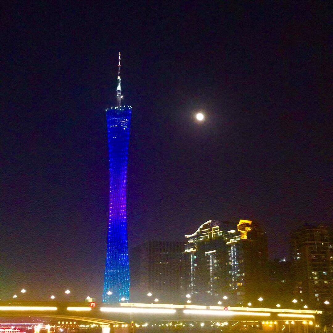 狗赤豆