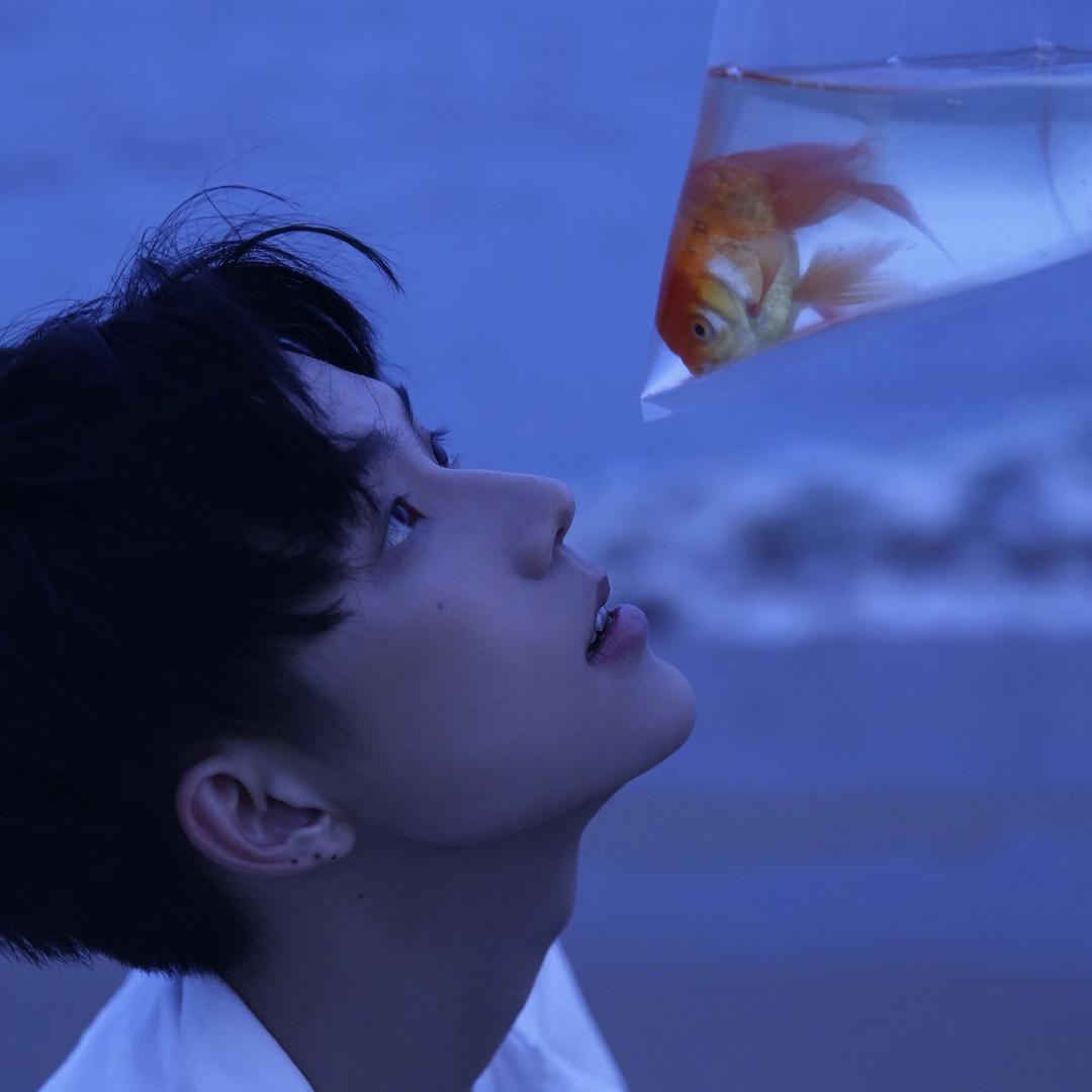 晋哲许