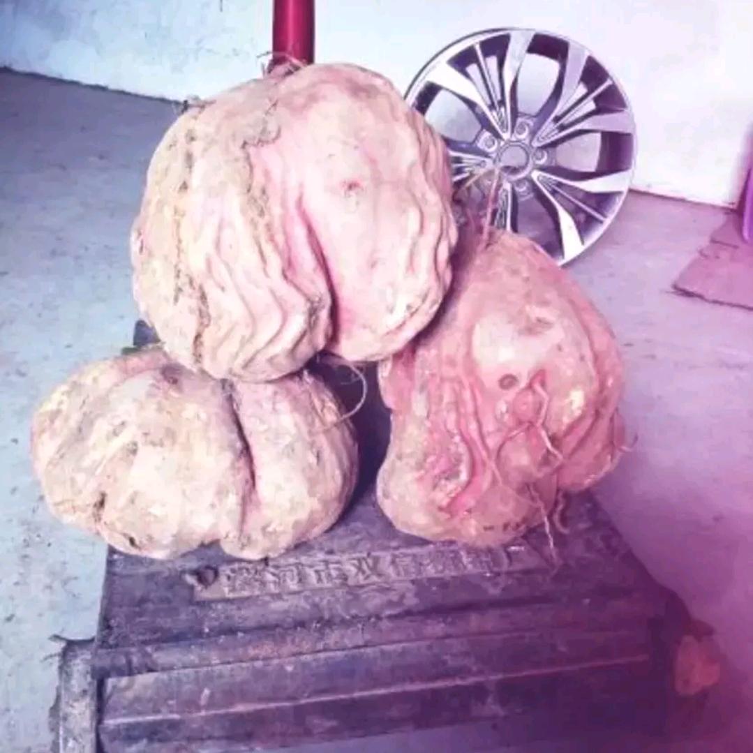 李亚辉