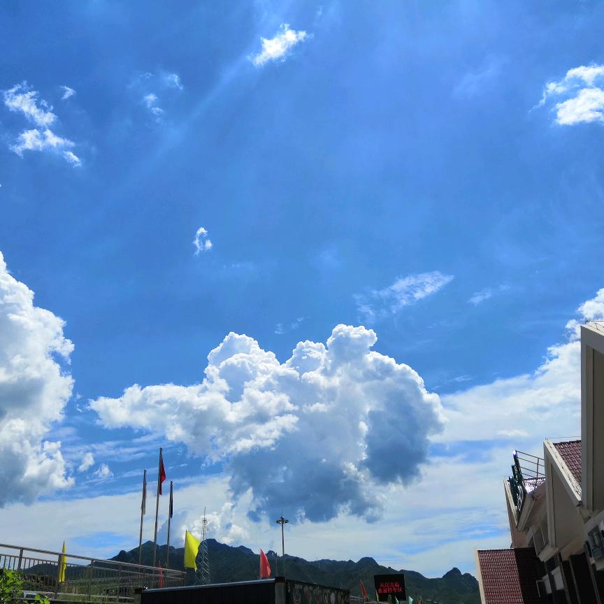 青栀👣