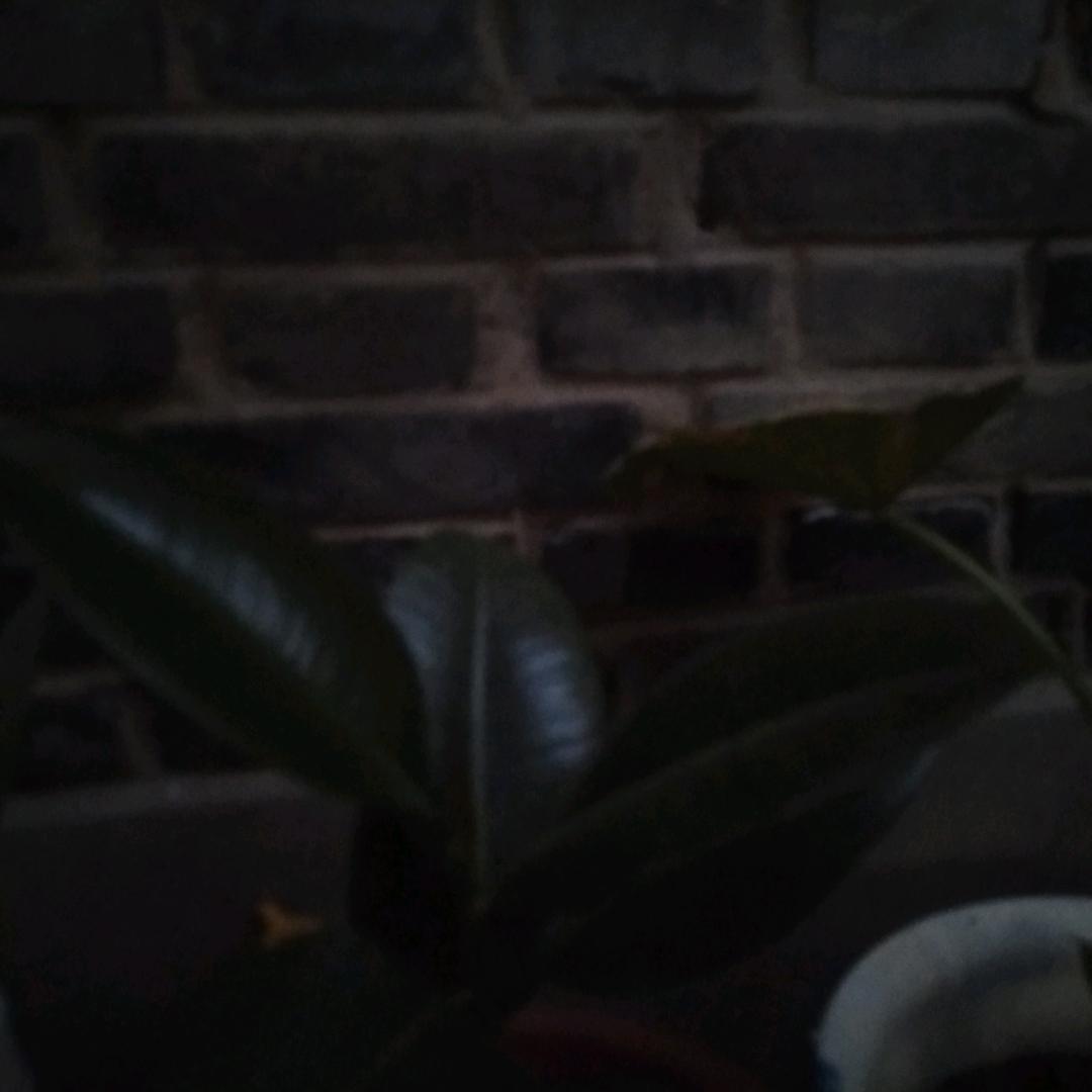 和你在一起每天都快乐