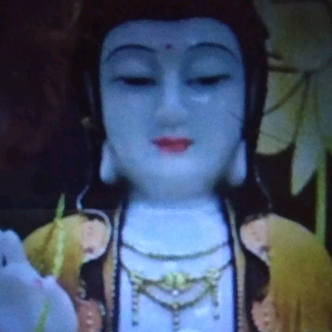 用户妙社3854287637295