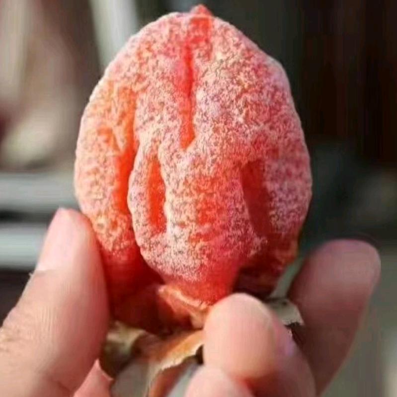 陕西省渭南市富平县宗果农业发展有限公司