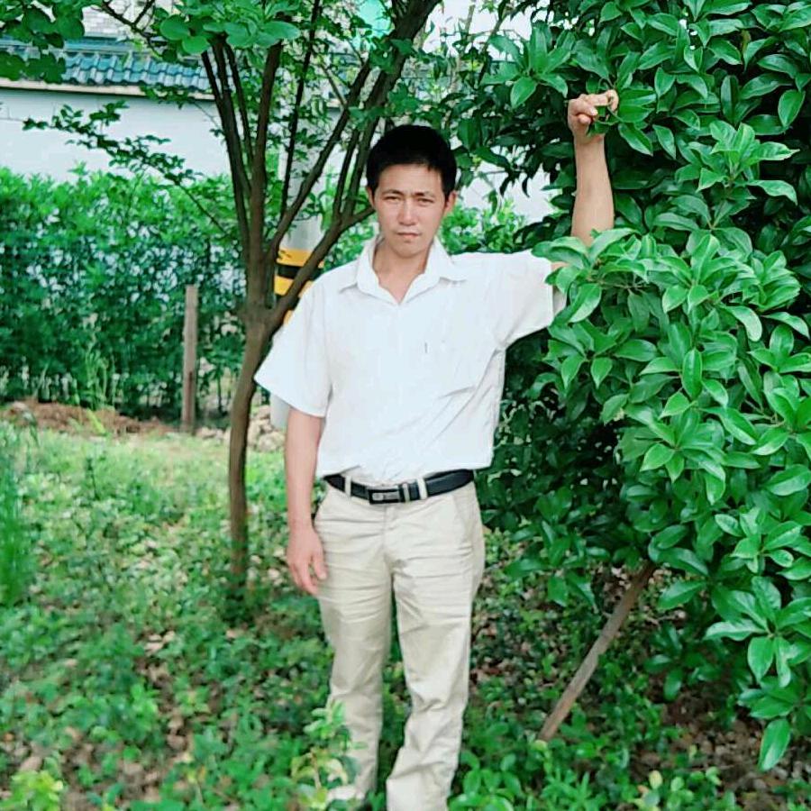 刘平