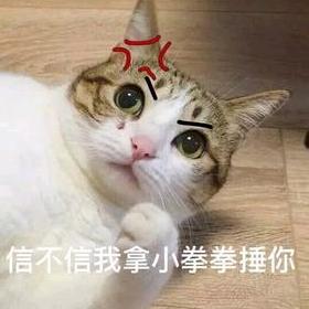 琪实我很利害🛸