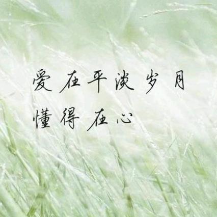 友谊情深是海