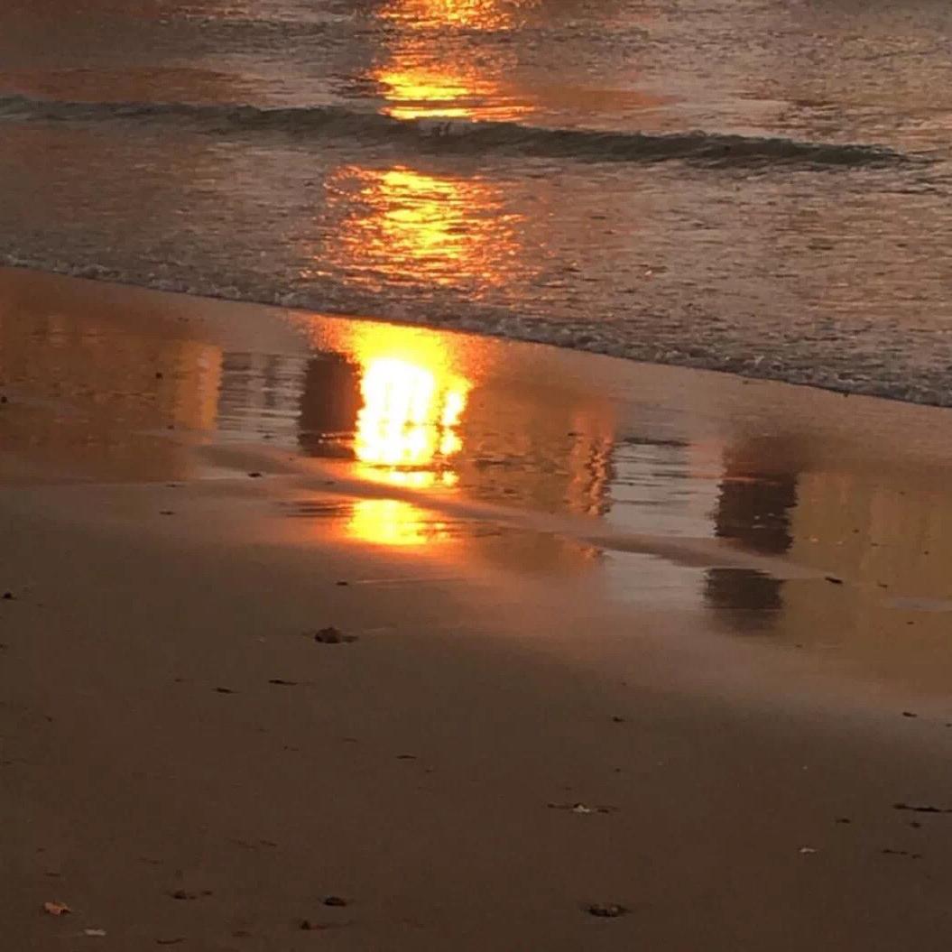 富士山下钟无艳。