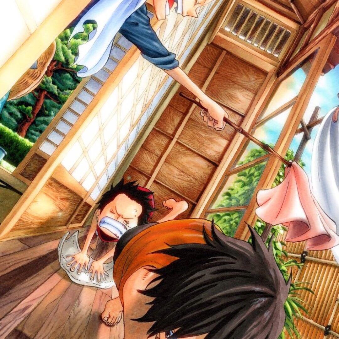 天天