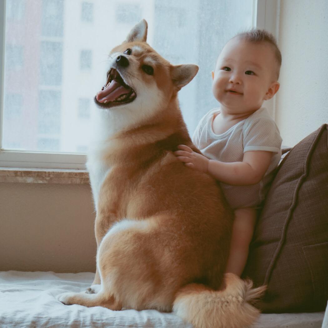 小睿睿和小虎