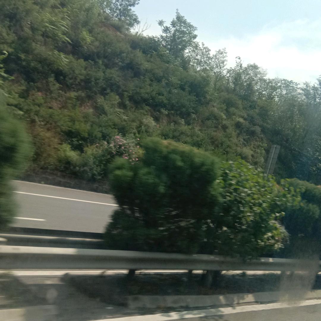 高