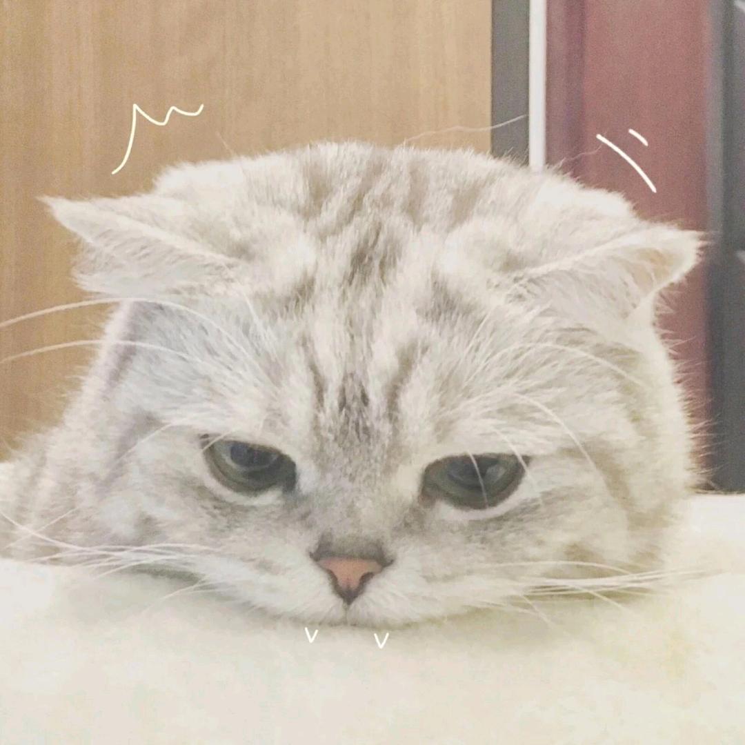 武汉全屋智能(池池)