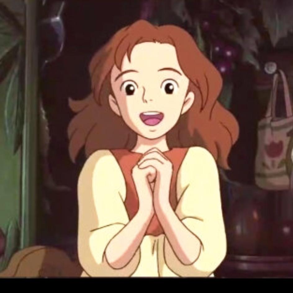 想去芬兰看极光