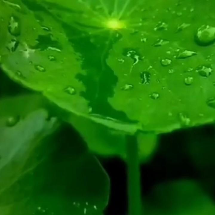 昨日不复来