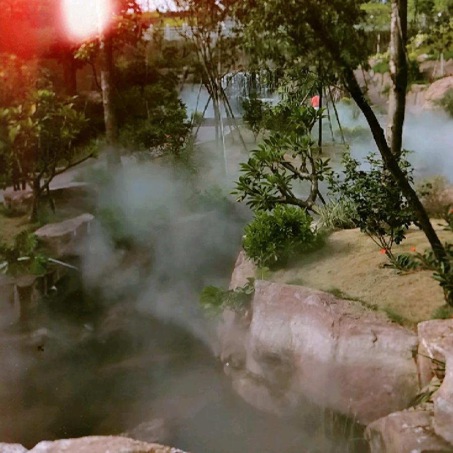 我爱深圳