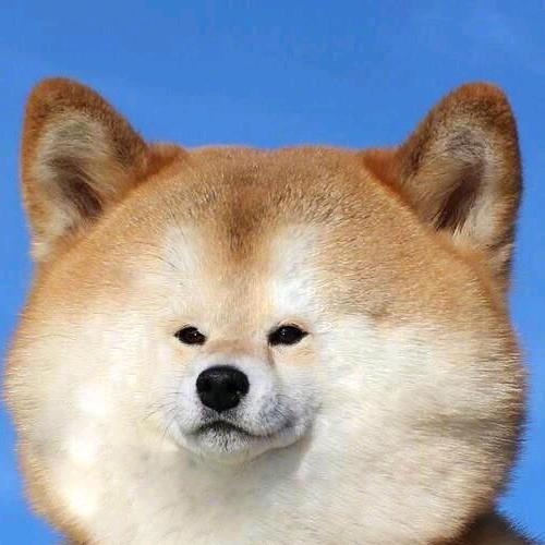 Holme昕