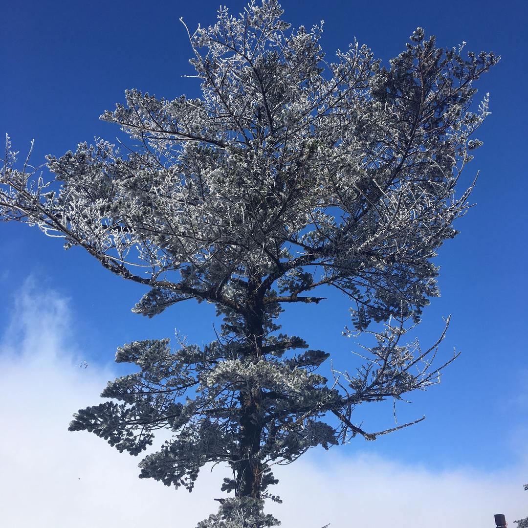 1987台球俱乐部（东沙店）