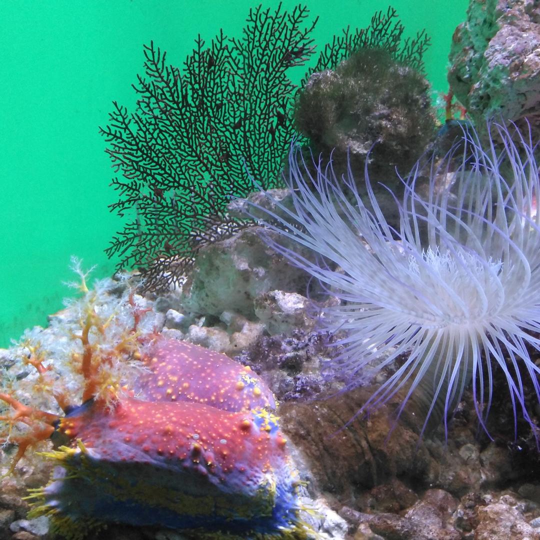 宜昌海底世界