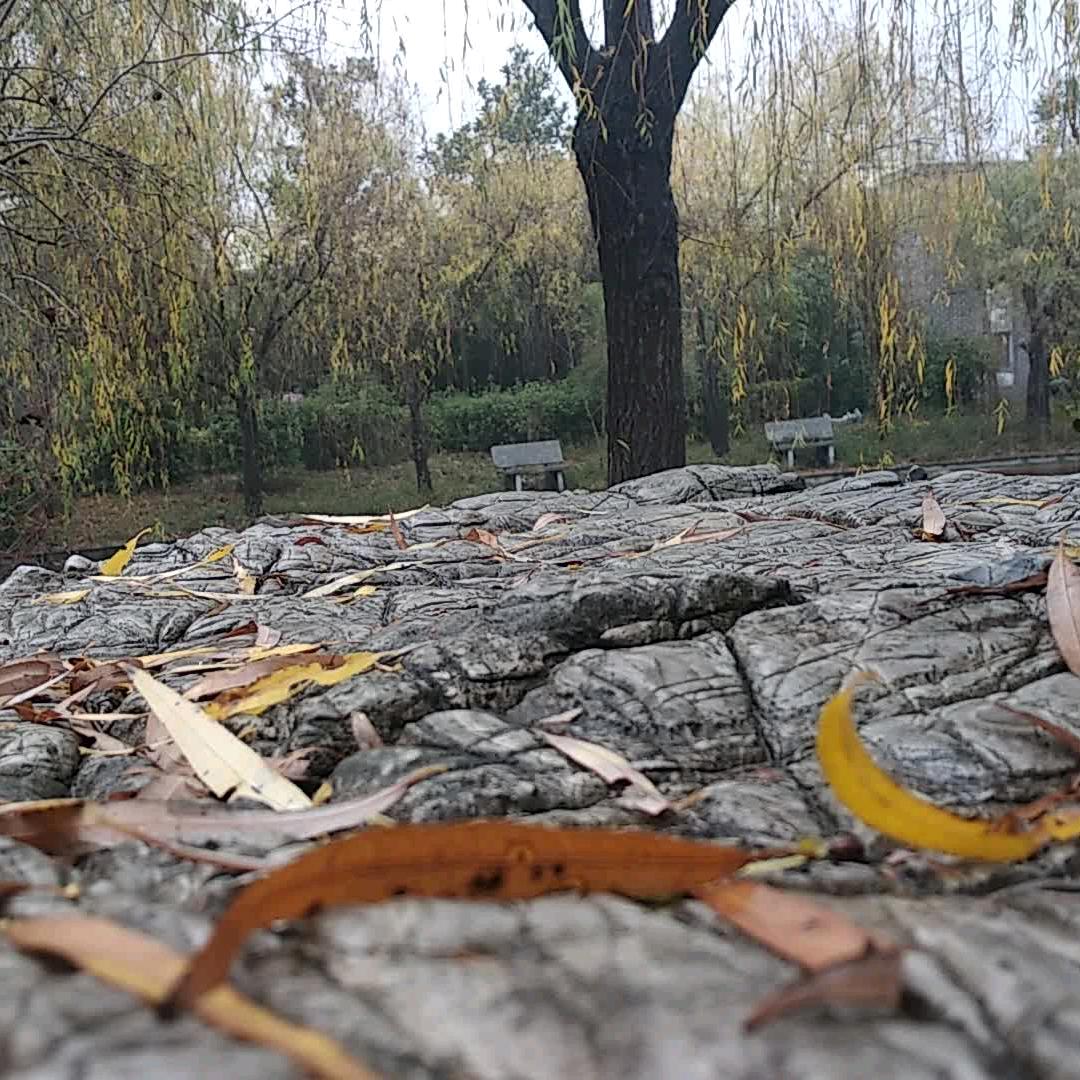 永