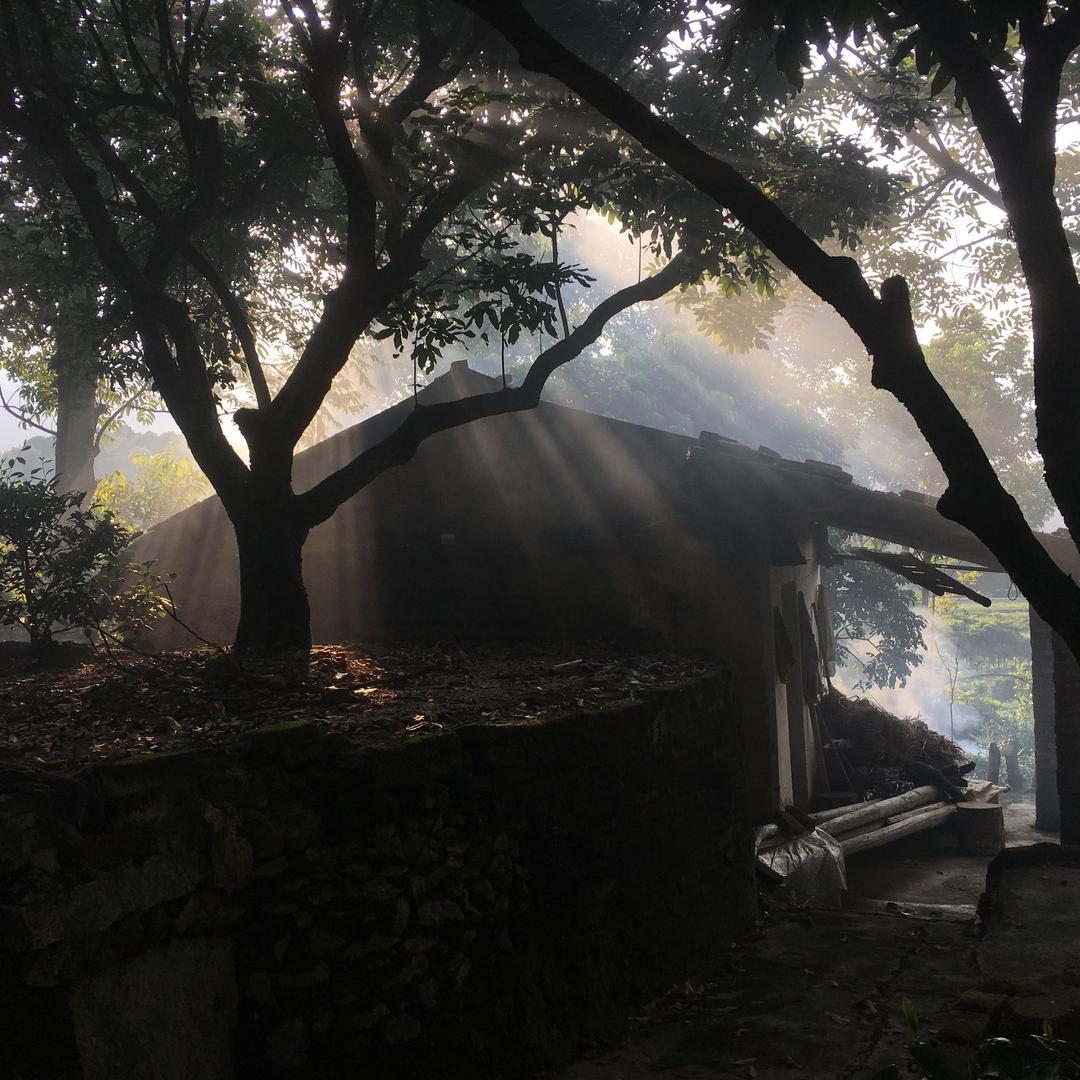 韓總