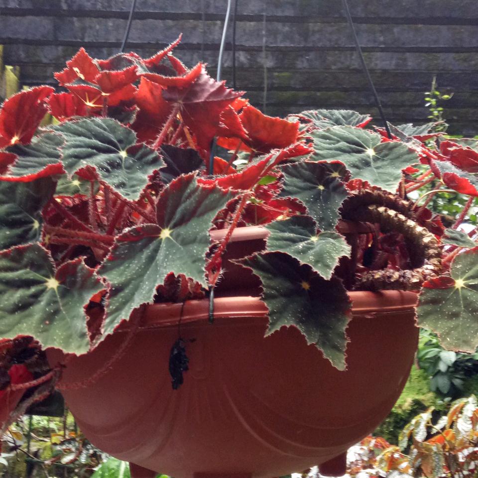 开心快乐的蓉姐