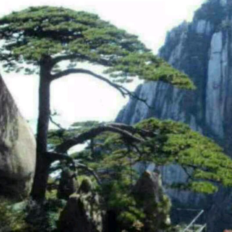 平安万里