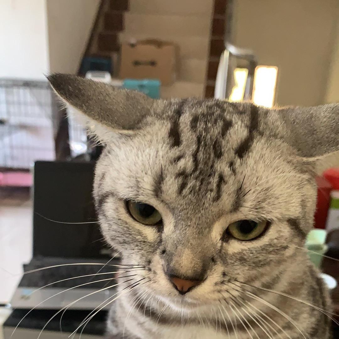 蓝色