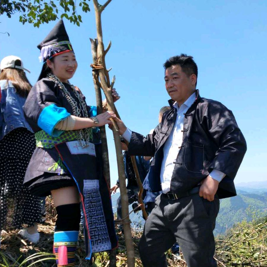 唐唐