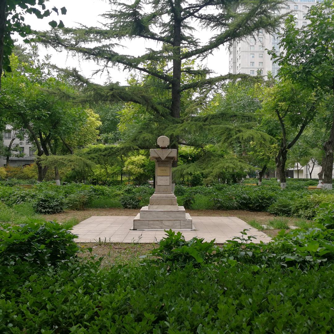 风雨如斯