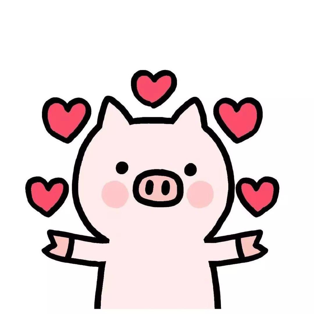 金六福猪宝🐷