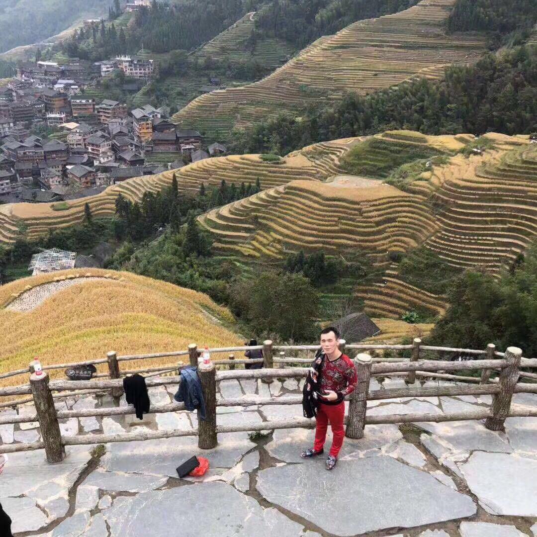杨杨