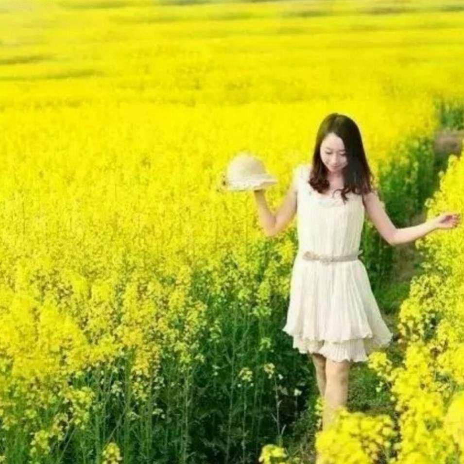 紫蔷薇