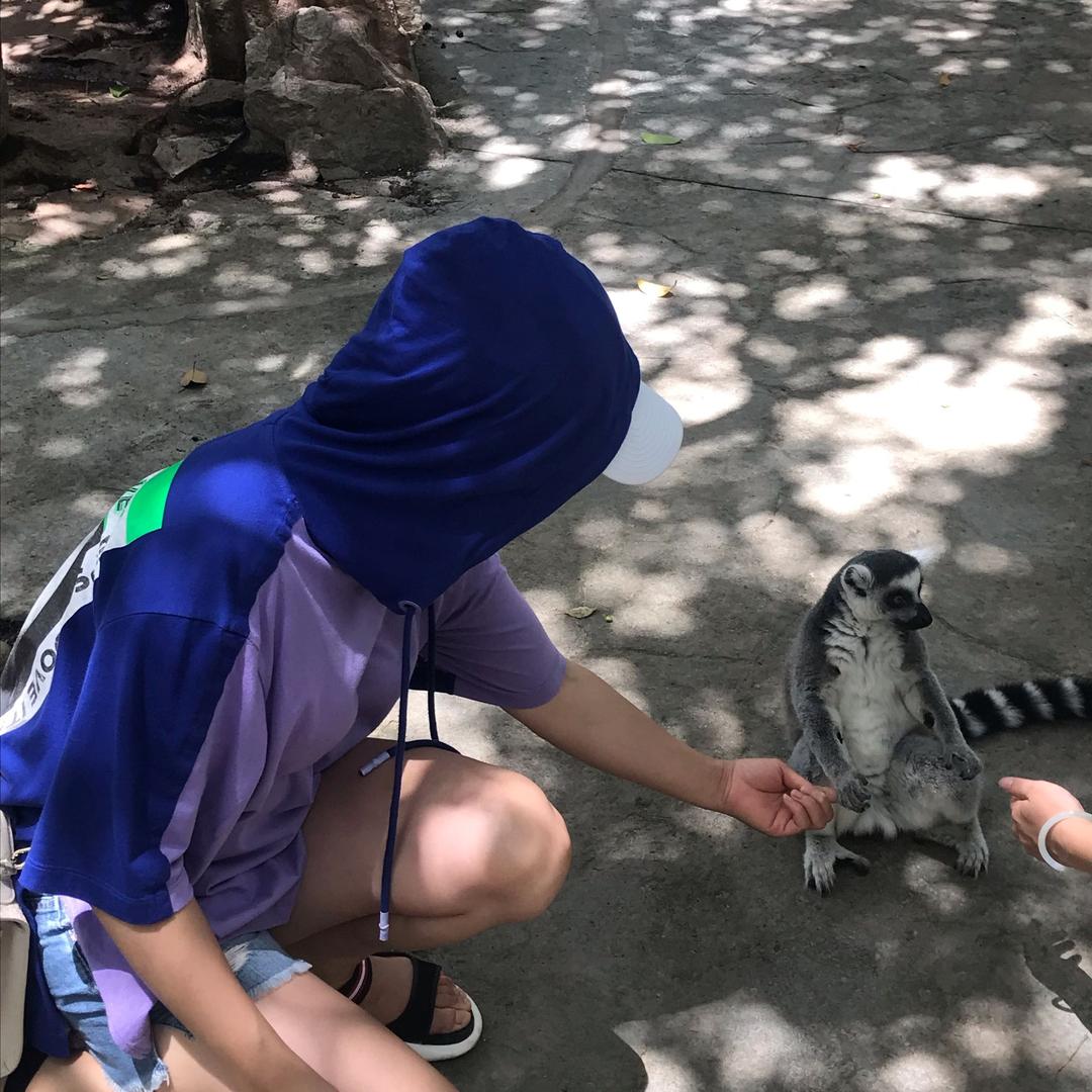 @龙姐（恒隆商行—三峡果蔬）