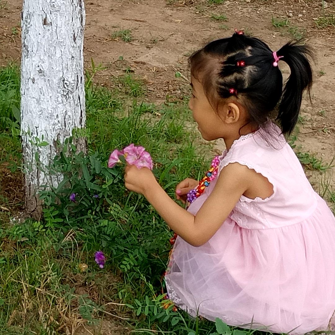 凉城以北深海为眠