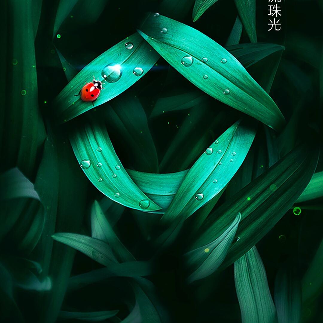 帮助加沙儿童，谢谢