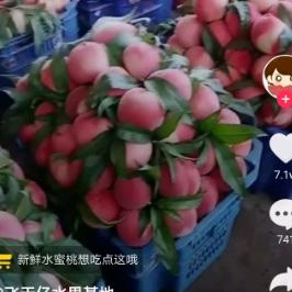 山东好汉