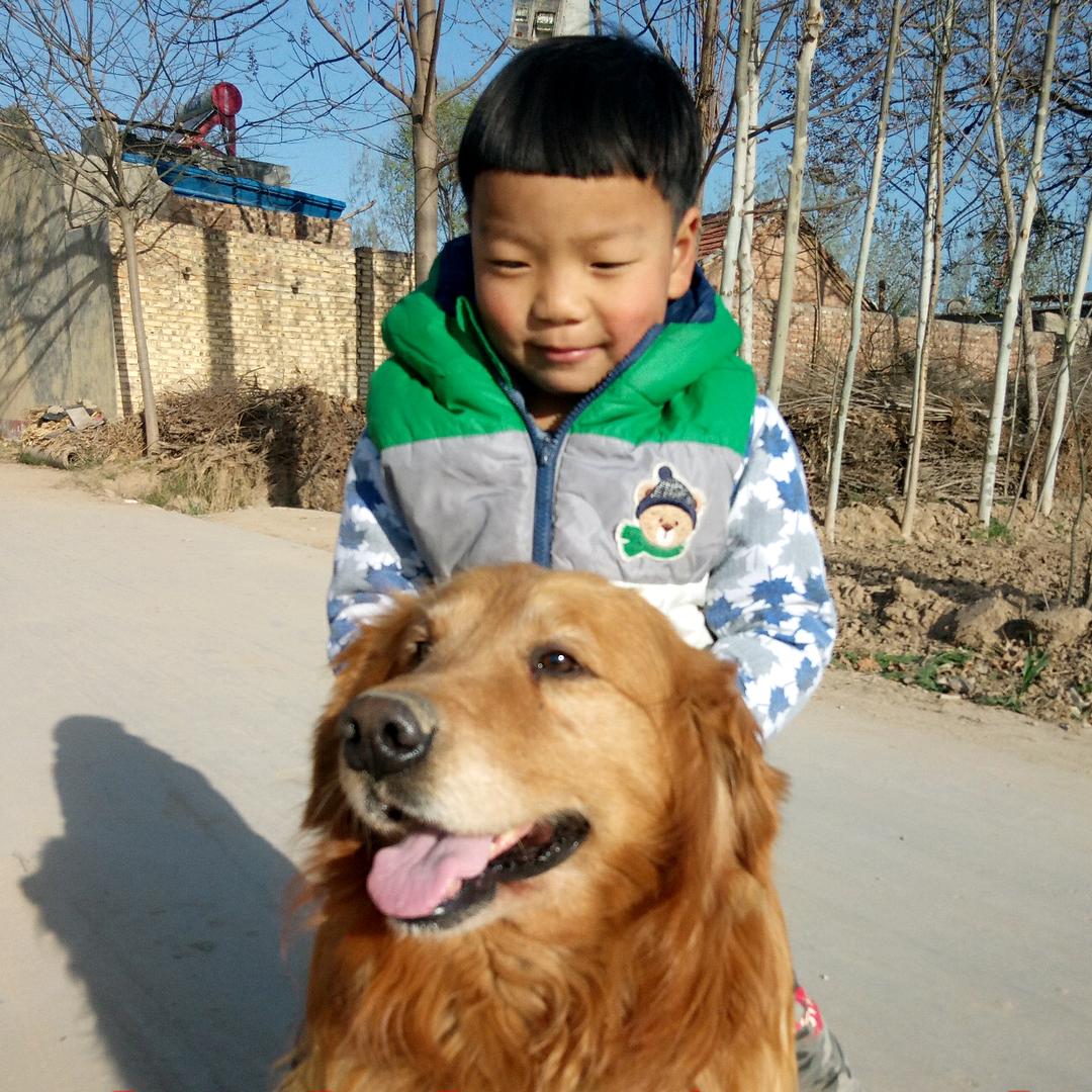 狼行千里