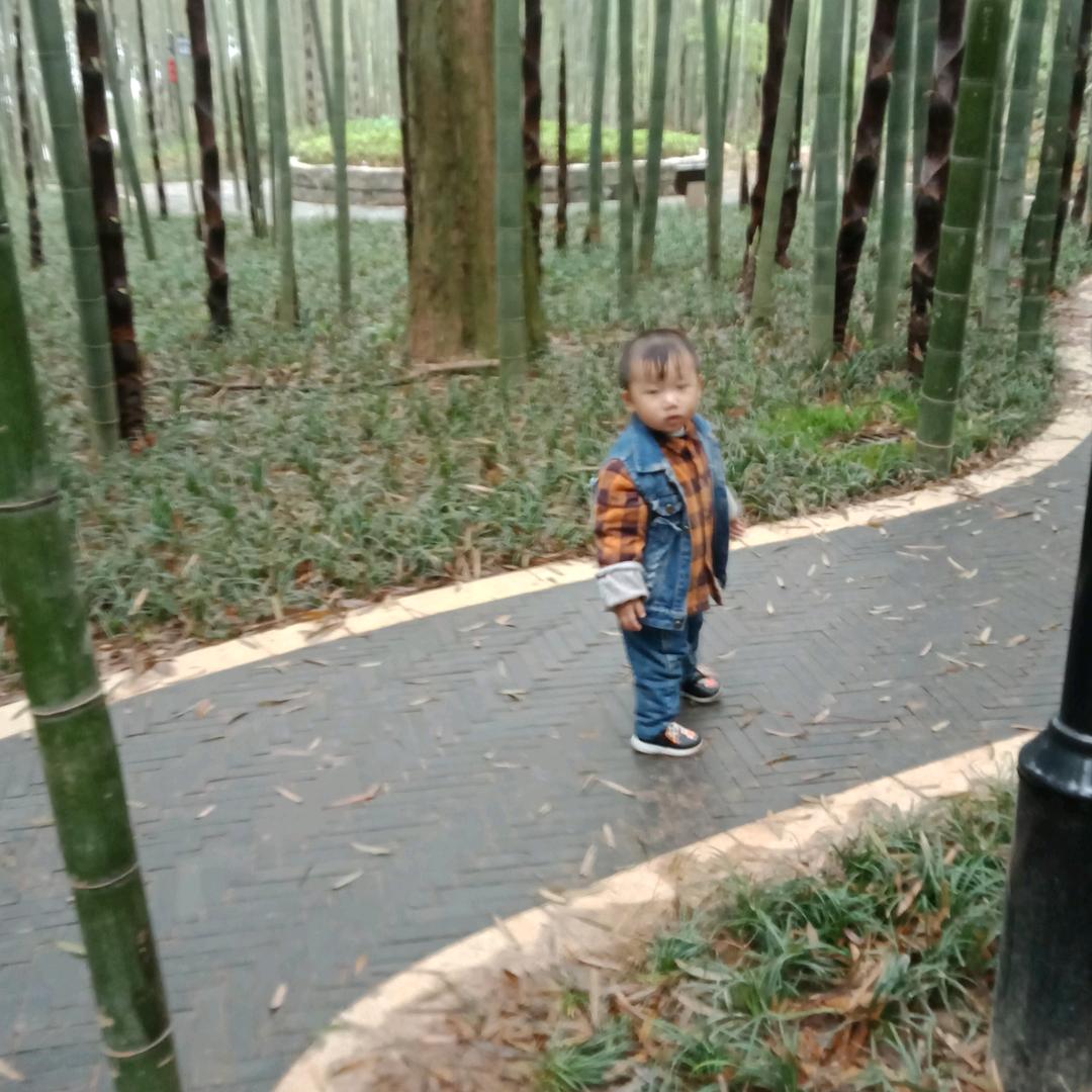 完美（橱窗有好物）