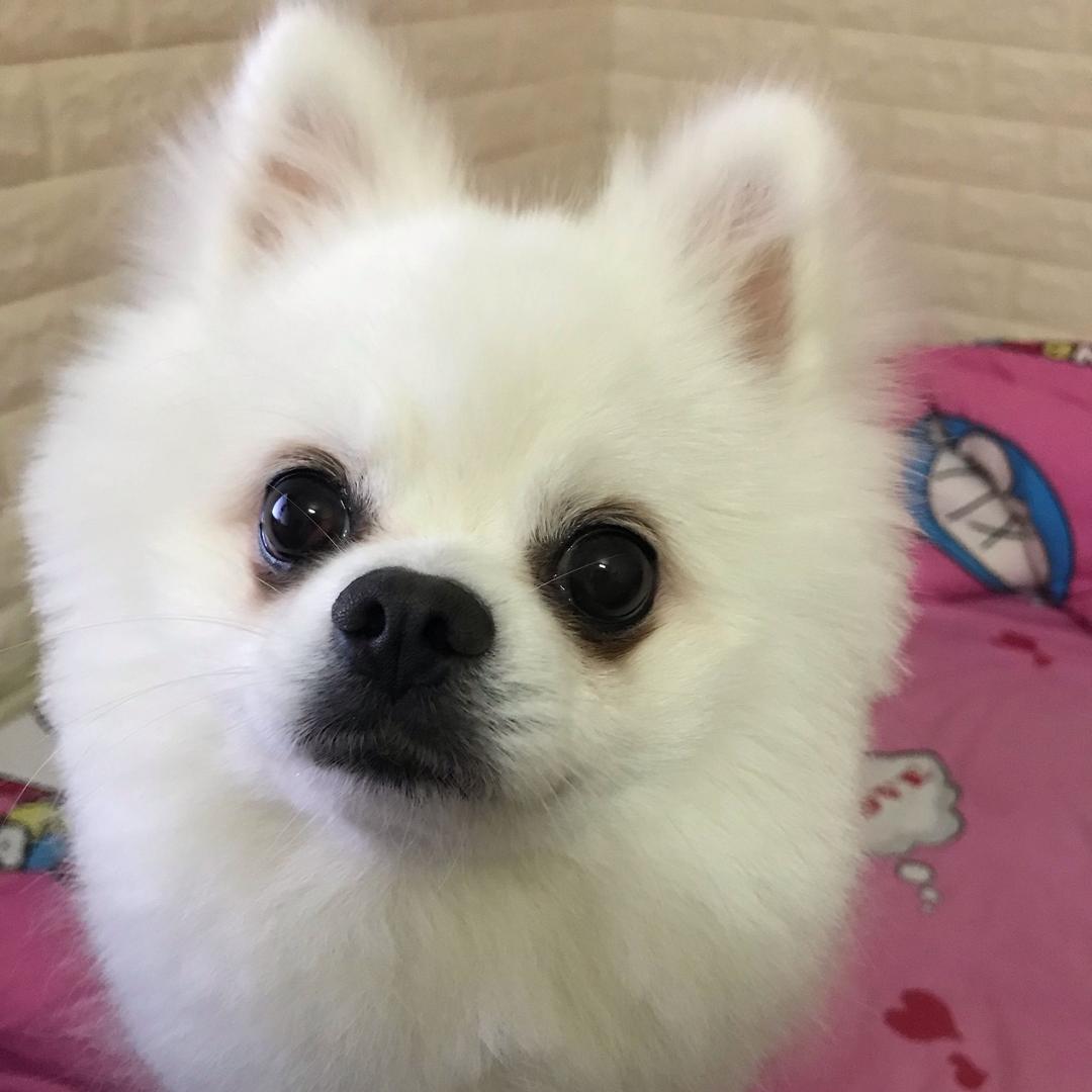 彬彬
