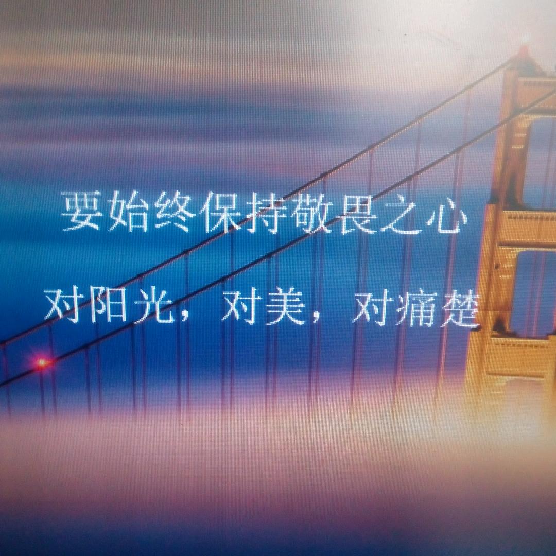 用户拼命三郎