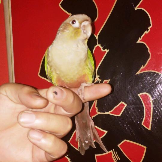 ꦿღ᭄听ꦿ闻余生᭄꧔