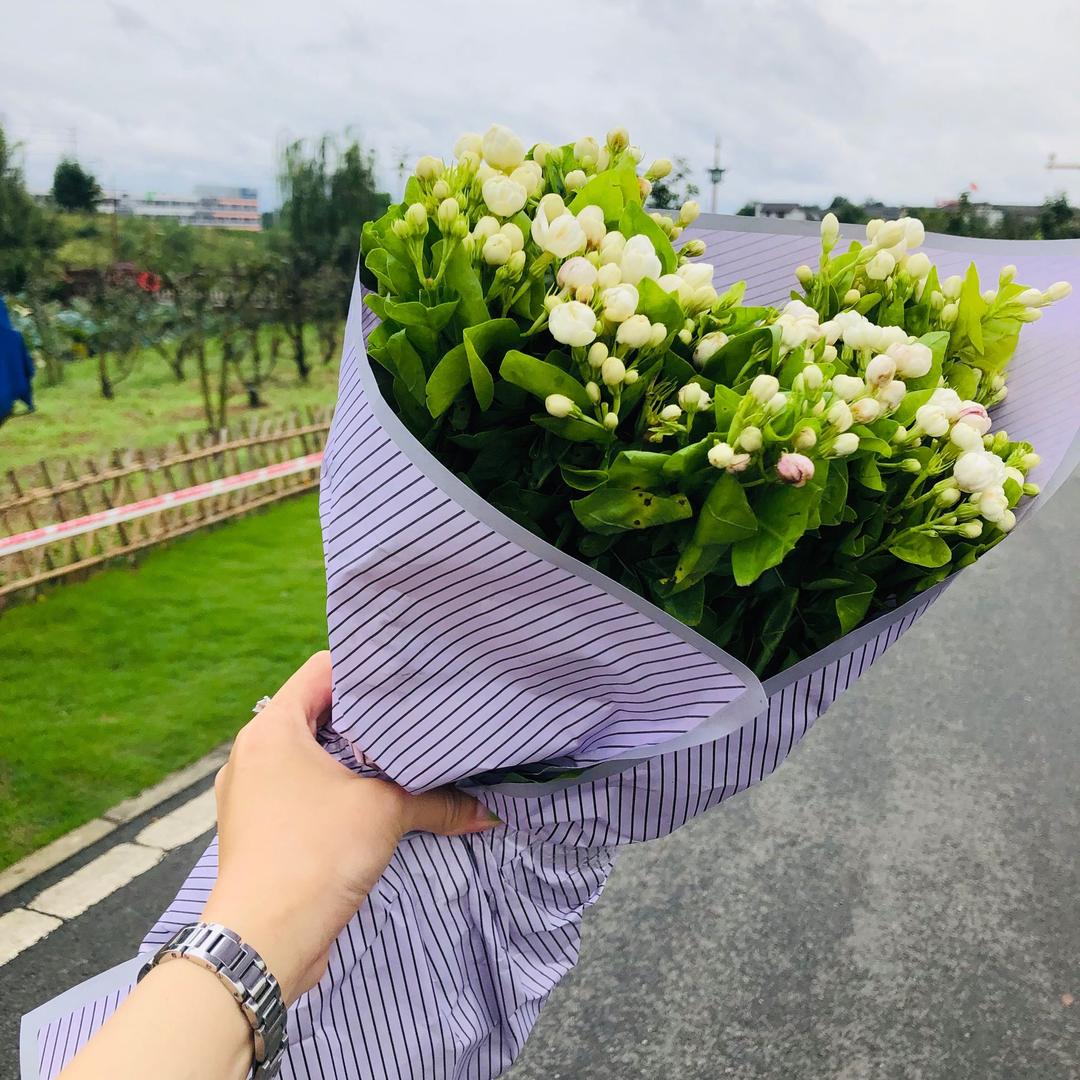 永恒记忆🌼