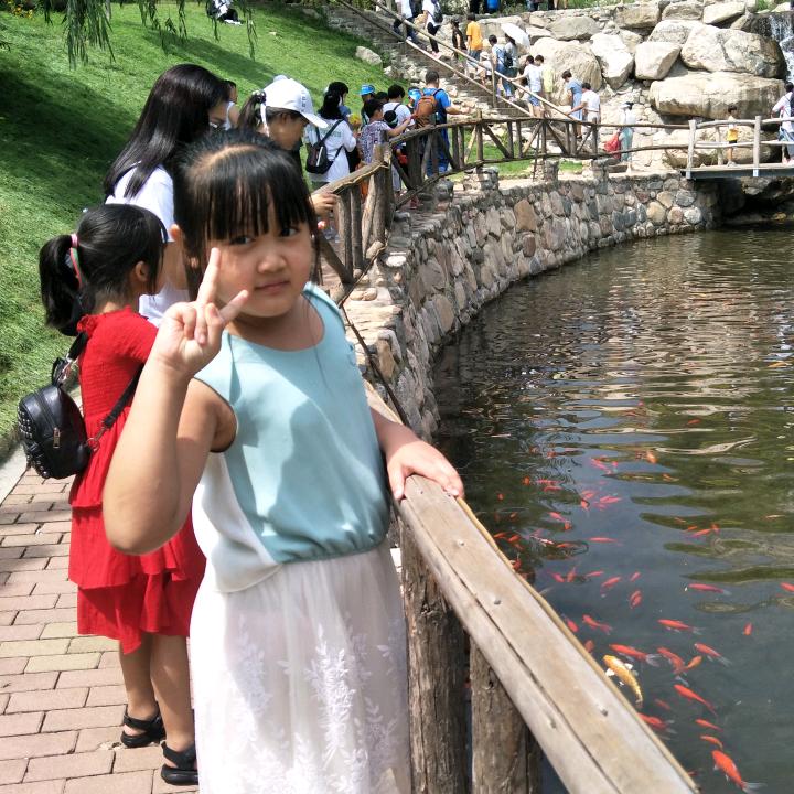 🌺最美的相遇🌺