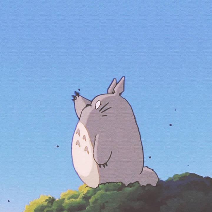 楠苝i