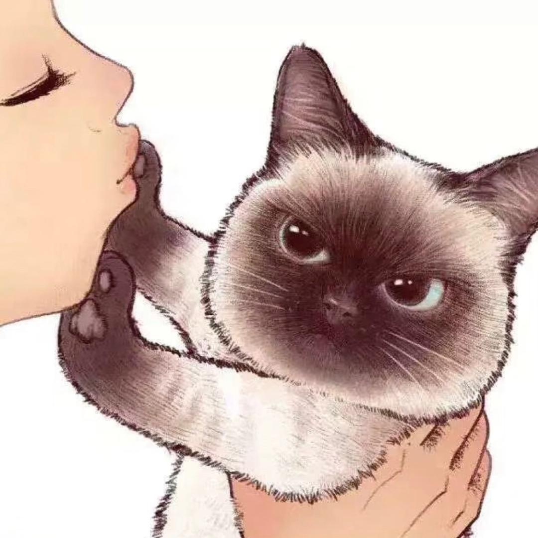 S菇菇的小酒瓶